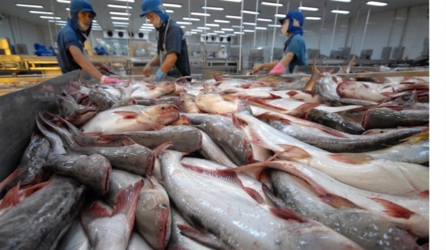 Việt Nam becomes second largest supplier of white fish to US